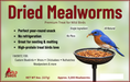 FTWB Dried Mealworm Bucket - 5oz