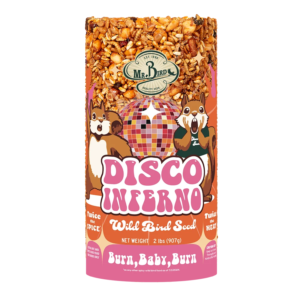 Disco Inferno Seed Cakes - Small Cylinder