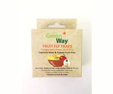 Fruit Fly Trap