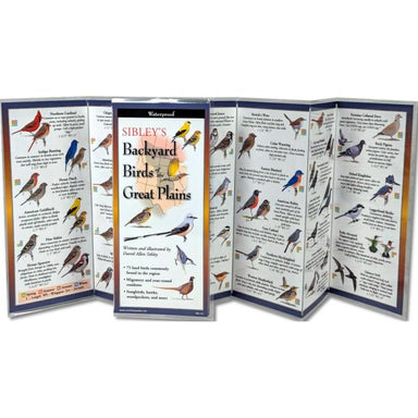 Sibley's Backyard Birds of the Great Plains Folding Guide