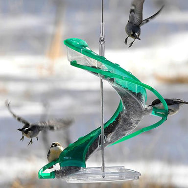 Cascade Helix 4-port Seed Feeder w/ Scoop