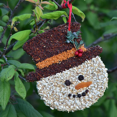 Mr Bird Christmas Cookie Frosty