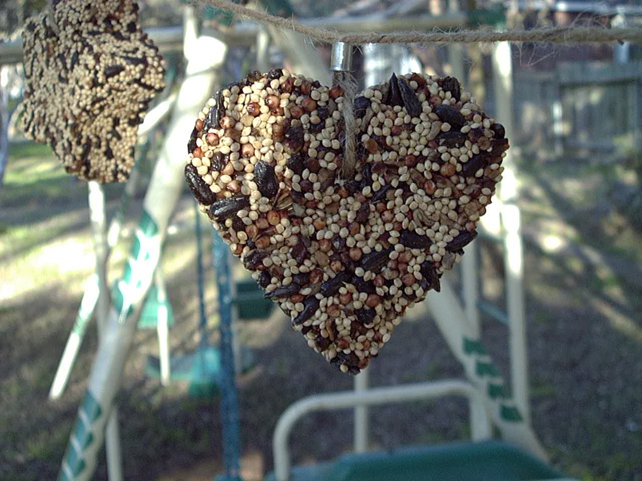 Mr. Bird Little Heart seed ornament hanging outdoors