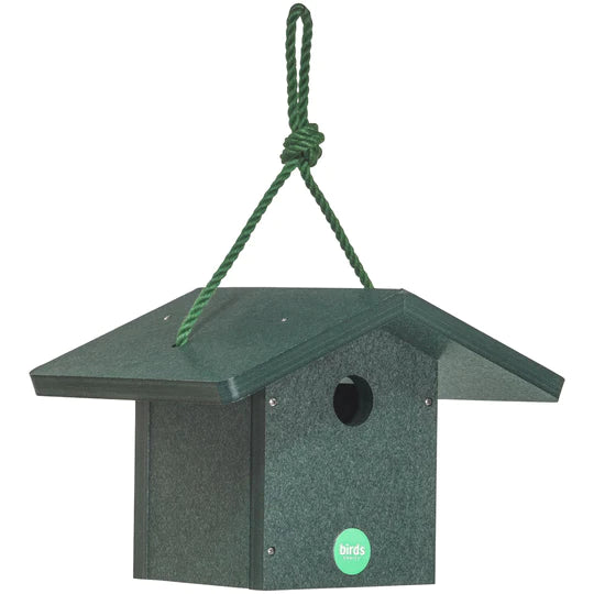 Wren House- Color Pop Collection* - Evergreen