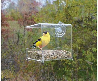 Clear View Mini Window Feeder SE970