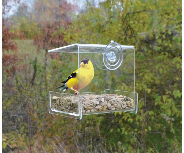 Clear View Mini Window Feeder SE970