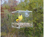 Clear View Mini Window Feeder SE970