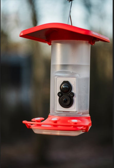 FeatherSnap Hummingbird Smart Camera Feeder