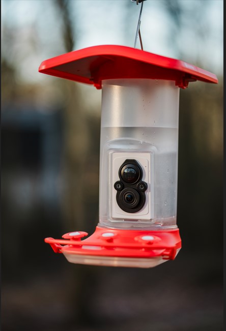 FeatherSnap Hummingbird Smart Camera Feeder