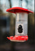 FeatherSnap Hummingbird Smart Camera Feeder