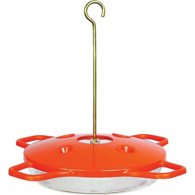 The Oriole Feeder 16 oz