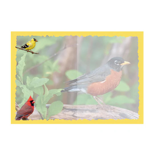 Advice for Life Greeting Card - Songbird