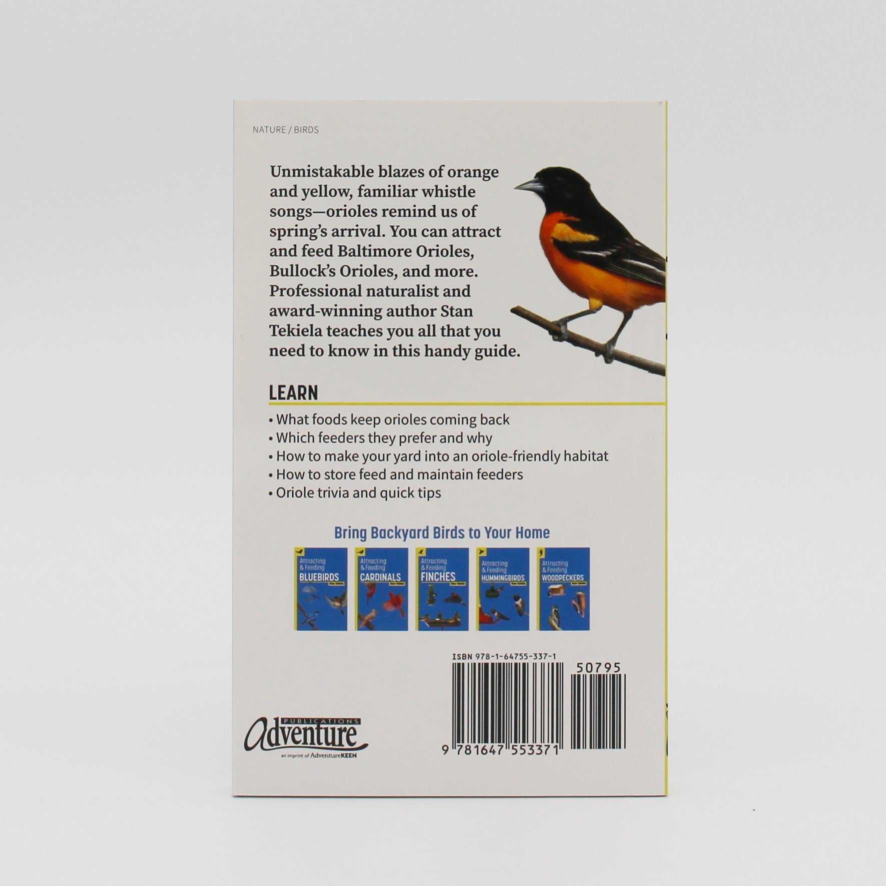 Attracting & Feeding Orioles