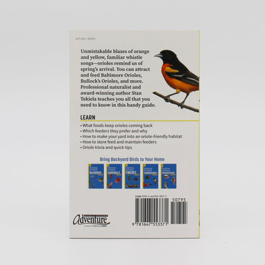 Attracting & Feeding Orioles