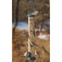 Quick Clean Spruce Seed Tube Feeder