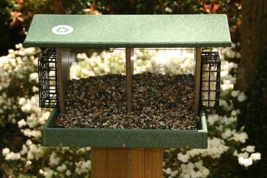 Large Double Hopper with Suet