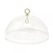 Squirrel Baffle/Weather Guard - 12" Hanging Dome Clear