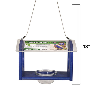Bluebird Canteen Feeder