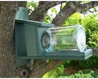 Recycled Plastic Squirrel in Jar Feeder - Green