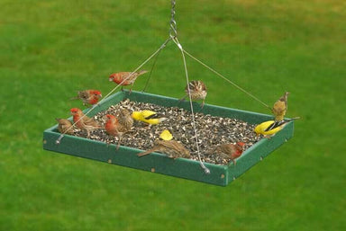 Lrg. Hanging Platform Feeder - Green
