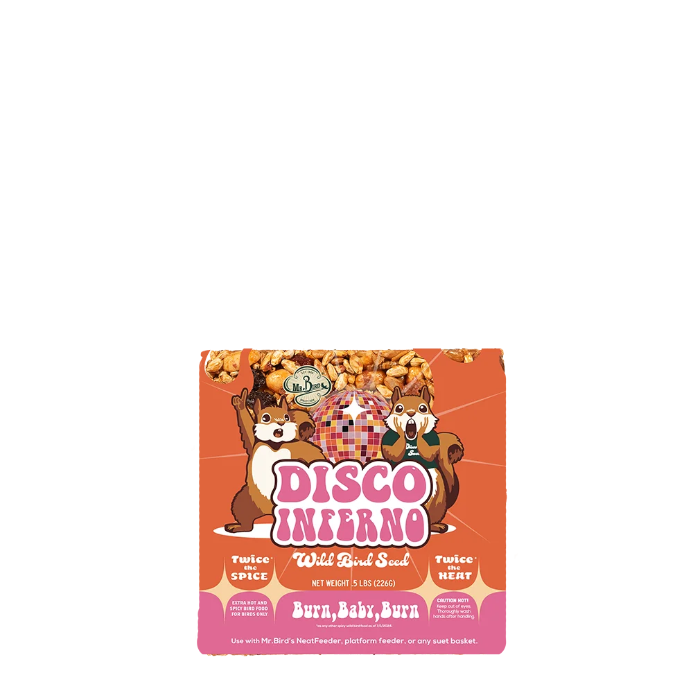 Disco Inferno Seed Cakes - Small Cake