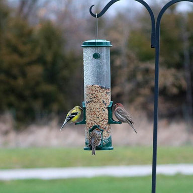 Standard Seed Tube Feeder Green
