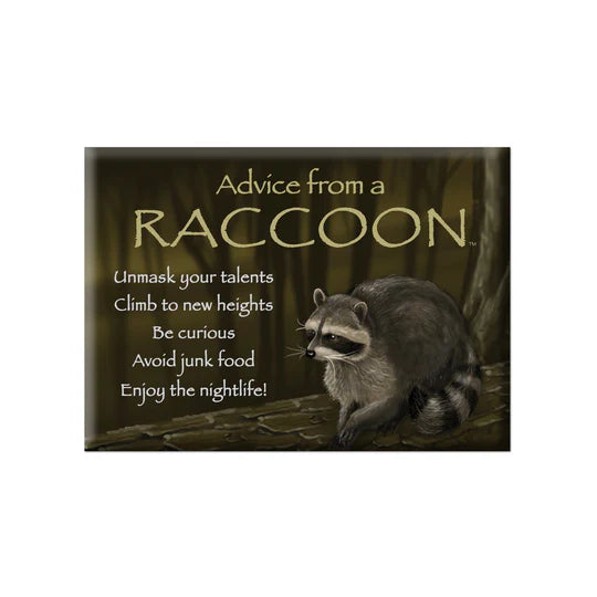 Advice for Life Jumbo Magnet - Raccoon