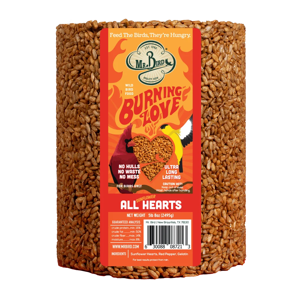 Burning Love Seed Cake - Large Cylinder