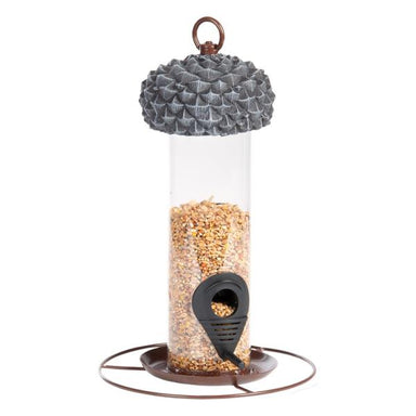 Acorn Tube Seed Feeder