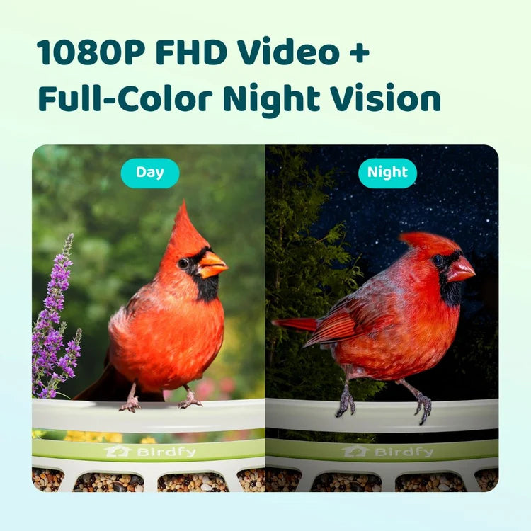 Birdfy Solar 1080P Smart Birdfeeder Camera Metal