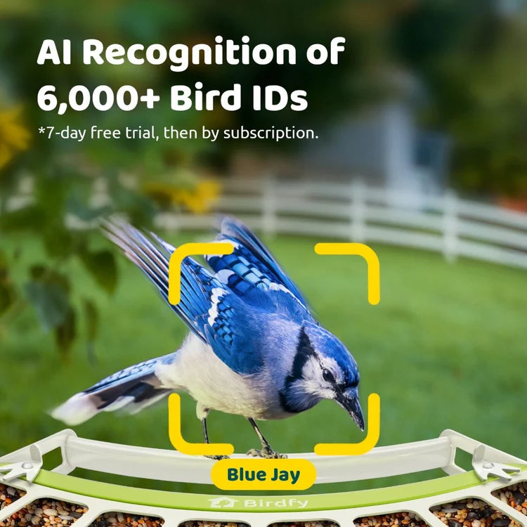 Birdfy Solar 1080P Smart Birdfeeder Camera Metal