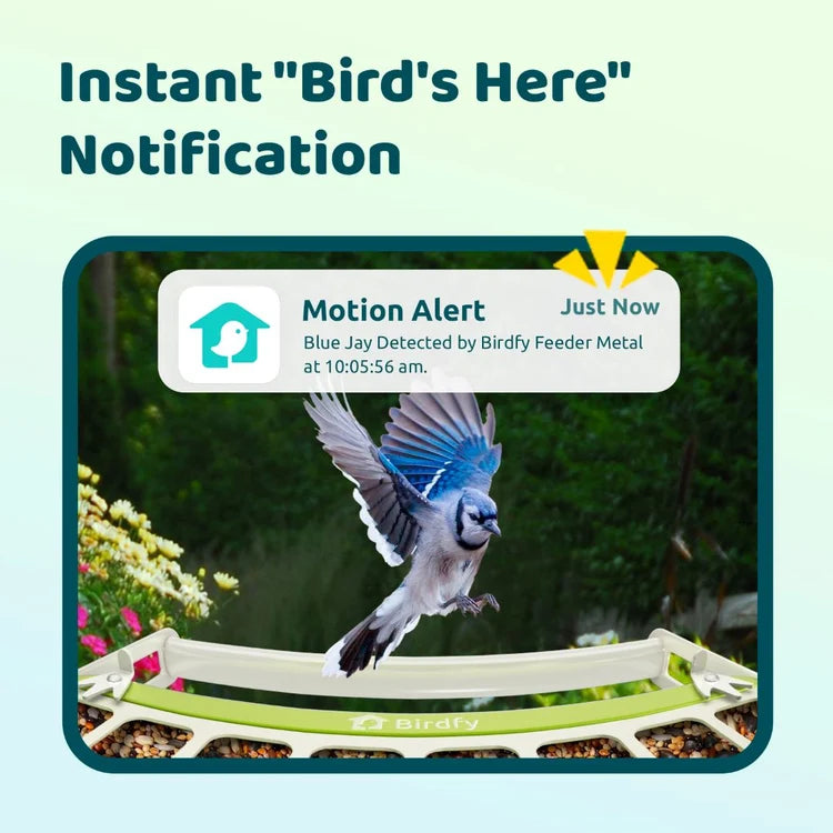 Birdfy Solar 1080P Smart Birdfeeder Camera Metal