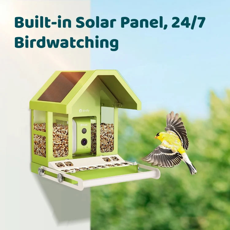 Birdfy Solar 1080P Smart Birdfeeder Camera Metal