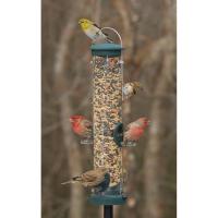 Quick Clean Spruce Seed Tube Feeder - Medium