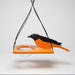 Mr. Oriole Feeder
