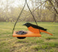 Mr. Oriole Feeder hanging in a tree