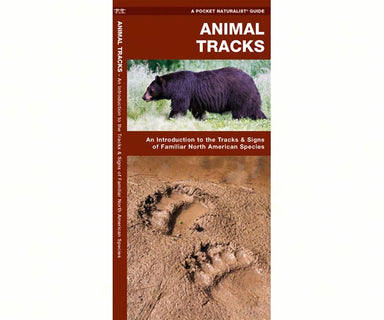 Animal Tracks Folding Brochure