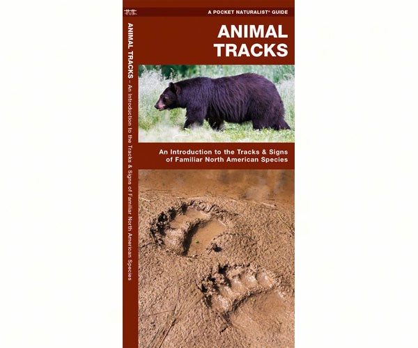 Animal Tracks Folding Brochure