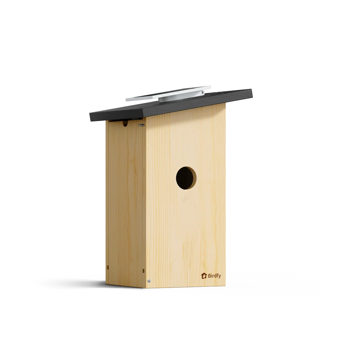Birdfy Nest Ebony Smart Birdhouse