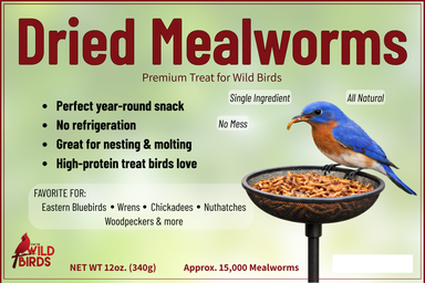FTWB Dried Mealworm Bucket