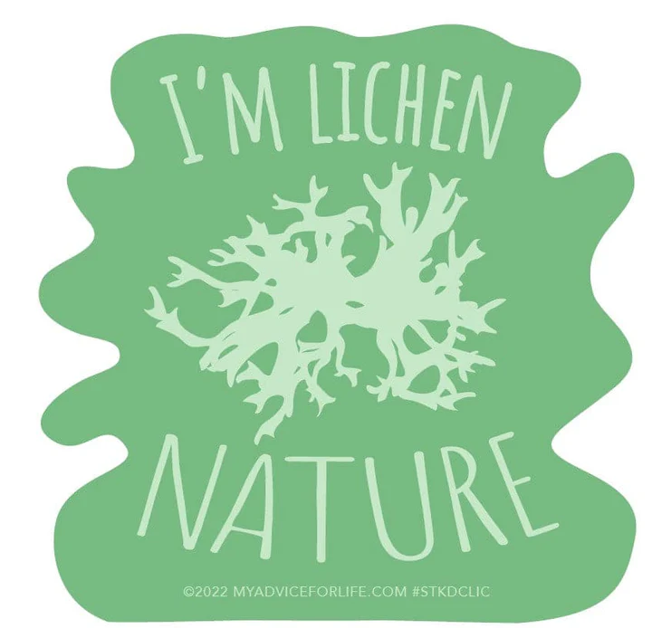 Advice for Life Die Cut Sticker