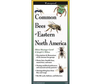 Sibley's Common Bees of Eastern North America Folding Guide