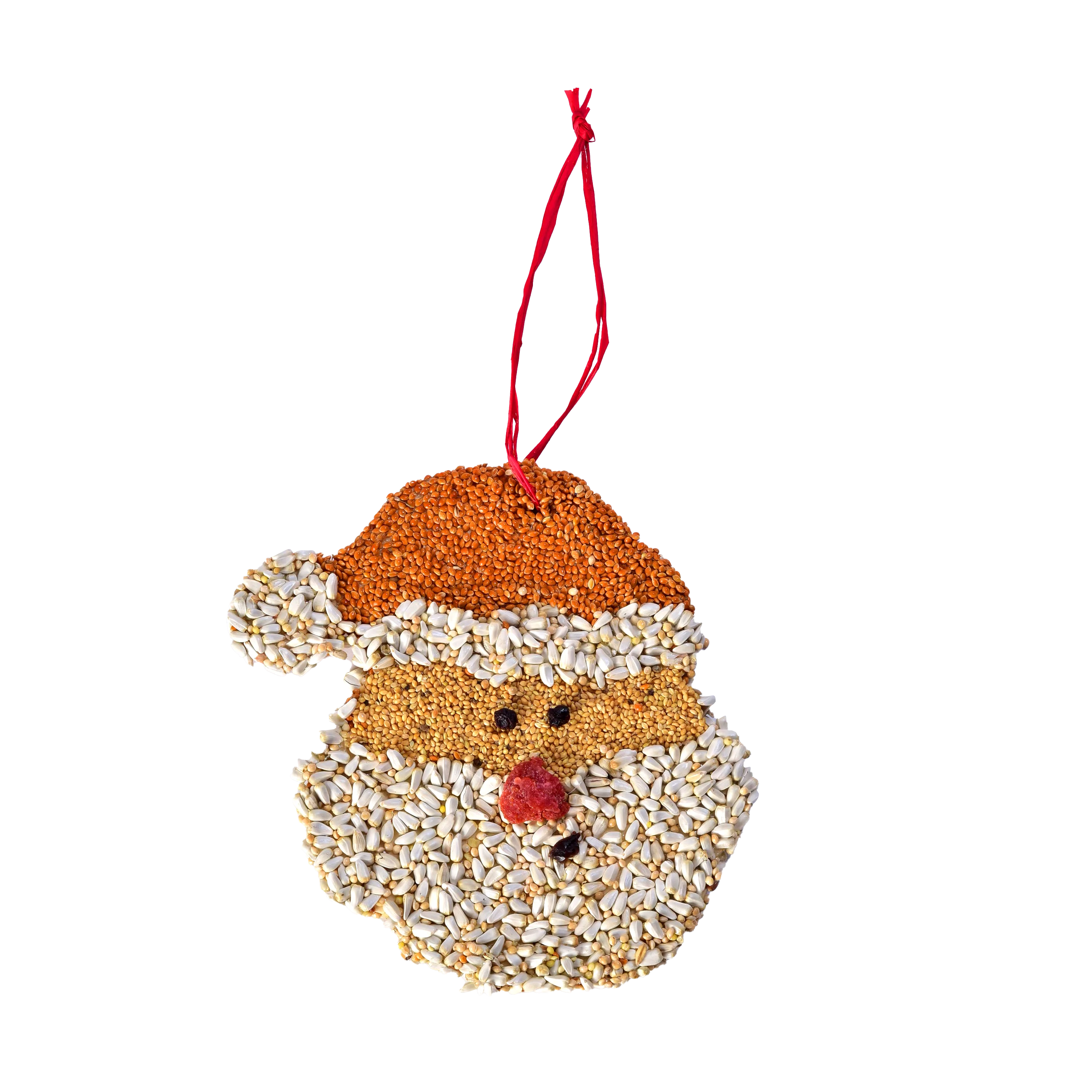 Mr Bird Christmas Cookie Santa