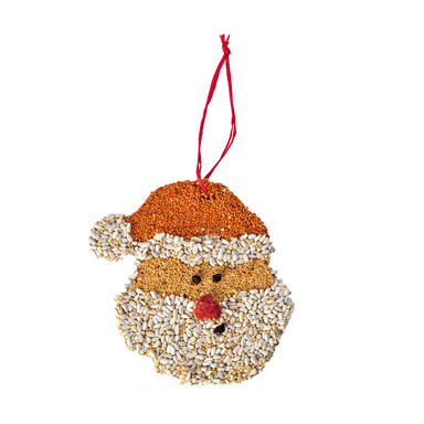 Mr Bird Christmas Cookie Santa