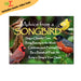 Advice for Life Jumbo Magnet - Songbird