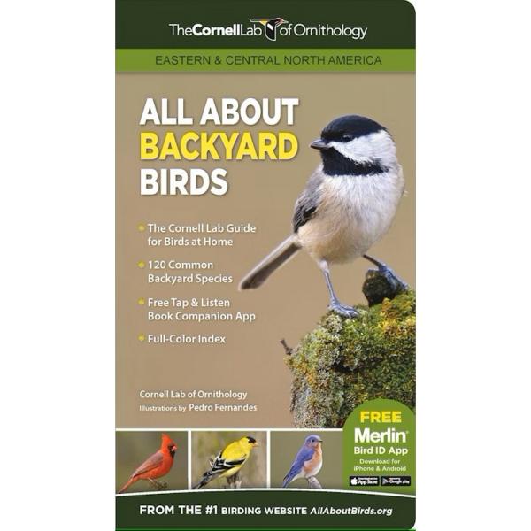 All About Backyard Birds Eastern & Central North America