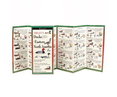 Sibley's Ducks Eastern North America Folding Guide