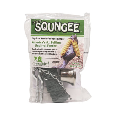 Squirrel Bungee
