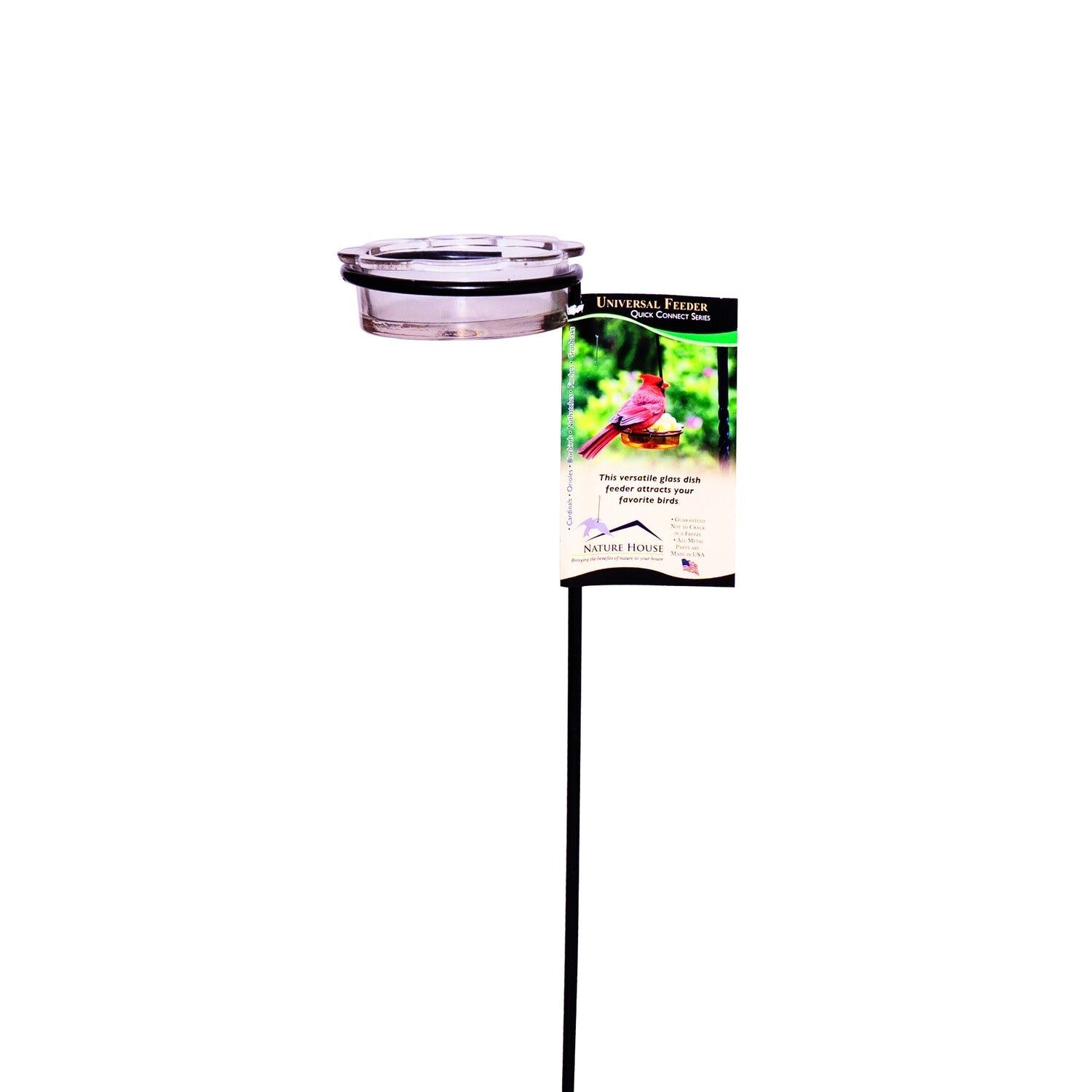 Erva Clear Glass Dish and Step In Pole