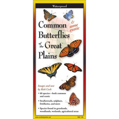 Sibley's Common Butterflies of Great Plains Folding Guide